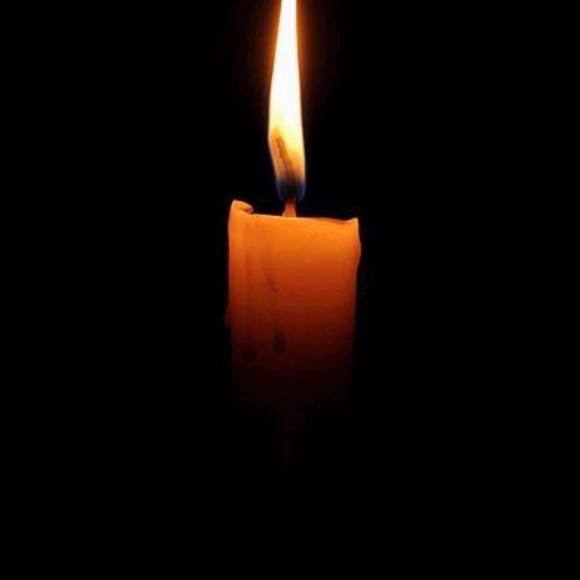 Meet your Posher, Jarone - Picture 1 of 1